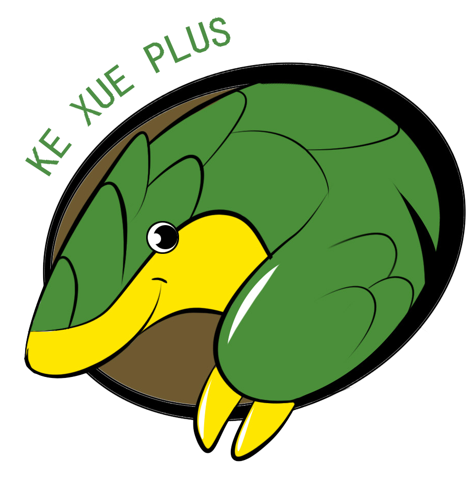 logo.png